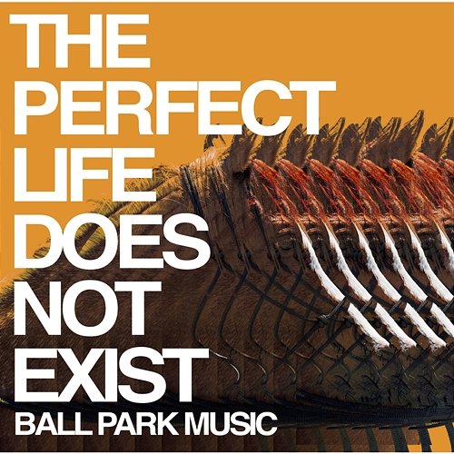 The Perfect Life Does Not Exist Ball Park Music