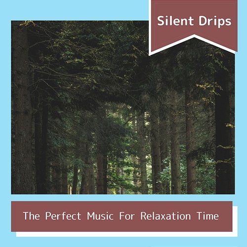 The Perfect Music for Relaxation Time Silent Drips