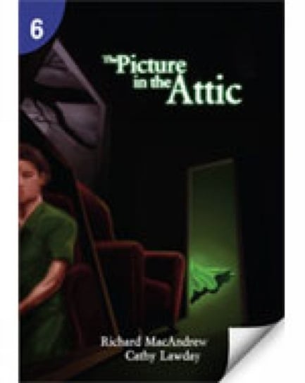 The Picture in the Attic. Page Turners 6 Macandrew Richard, Lawday Cathy