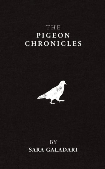 The Pigeon Chronicles Sara Galadari