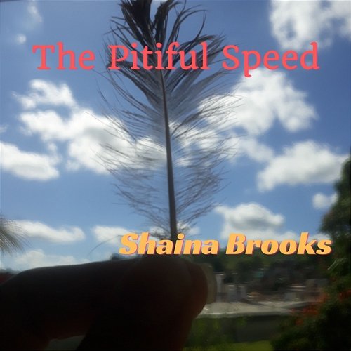 The Pitiful Speed Shaina Brooks