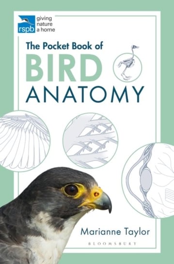 The Pocket Book of Bird Anatomy Taylor Marianne
