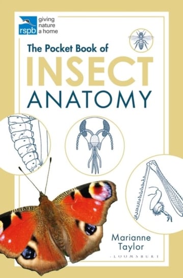 The Pocket Book of Insect Anatomy Taylor Marianne