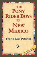 The Pony Rider Boys in New Mexico Patchin Frank Gee