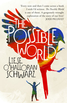 The Possible World Schwarz Liese O'halloran