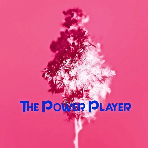 The Power Player William Haywood