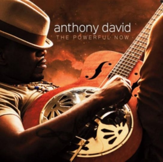 The Powerful Now David Anthony