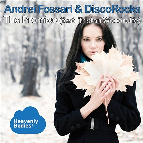 The Promise [feat. Tristan Woodroffe] Andrei Fossari & DiscoRocks