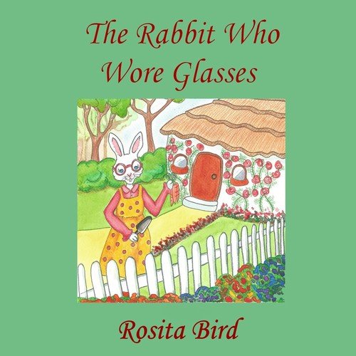 The Rabbit Who Wore Glasses Bird Rosita