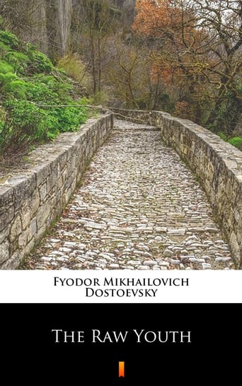 The Raw Youth Dostoevsky Fyodor Mikhailovich