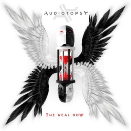 The Real Now Audiotopsy