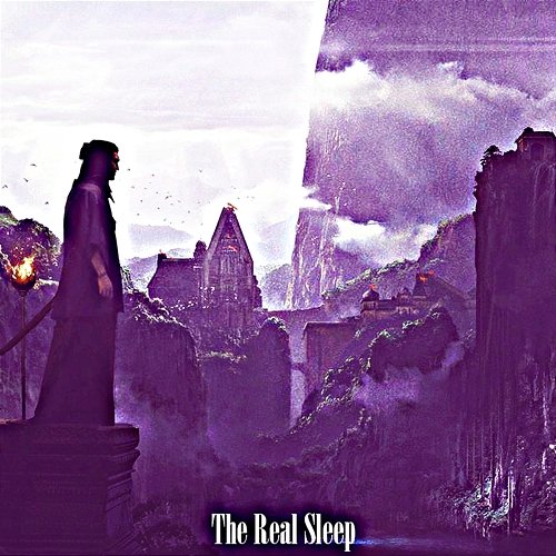 The Real Sleep Meesha Sharis