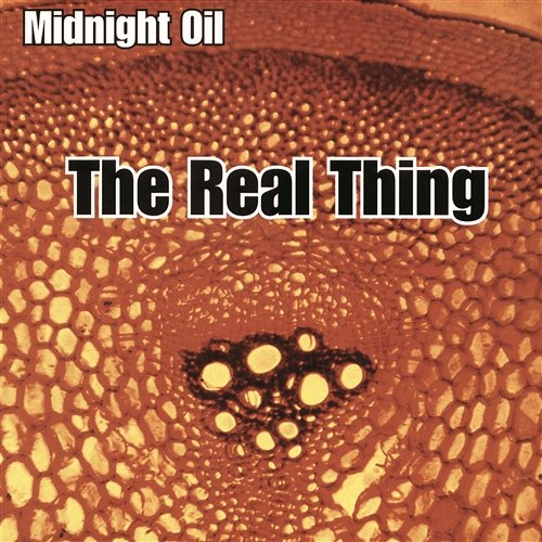 The Real Thing Midnight Oil