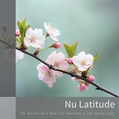 The Rhythm of a New Life Sparkling in the Spring Light Nu Latitude