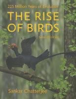 The Rise of Birds Chatterjee Sankar