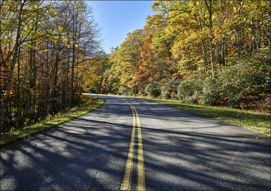 The road curves on the Blue Ridge Parkway, near Foscoe, North Carolina., Carol Highsmith - plakat 29,7x21 cm Galeria Plakatu