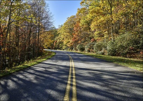 The road curves on the Blue Ridge Parkway, near Foscoe, North Carolina., Carol Highsmith - plakat 30x20 cm Galeria Plakatu