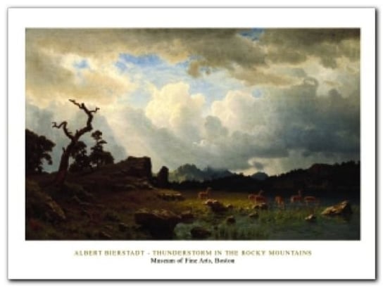 The Rochy Mountains plakat obraz 80x60cm Wizard+Genius