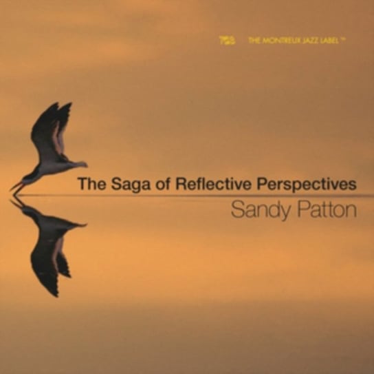 The Saga of Reflective Perspectives Patton Sandy