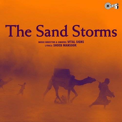 The Sand Storms Vital Signs
