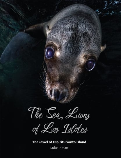 The Sea Lions of Los Islotes. The Jewel of Espiritu Santo Island Luke Inman