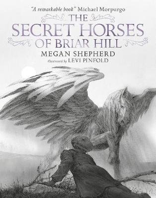 The Secret Horses of Briar Hill Shepherd Megan