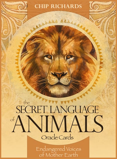 The Secret Language of Animals, karty, Blue Angel Inny producent