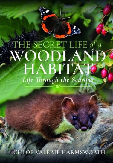 The Secret Life of a Woodland Habitat: Life Through the Seasons Chloe Valerie Harmsworth