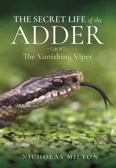 The Secret Life of the Adder: The Vanishing Viper Nicholas Milton