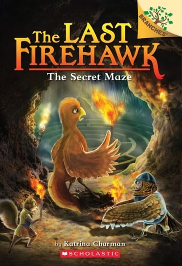 The Secret Maze: A Branches Book (The Last Firehawk #10) Charman Katrina