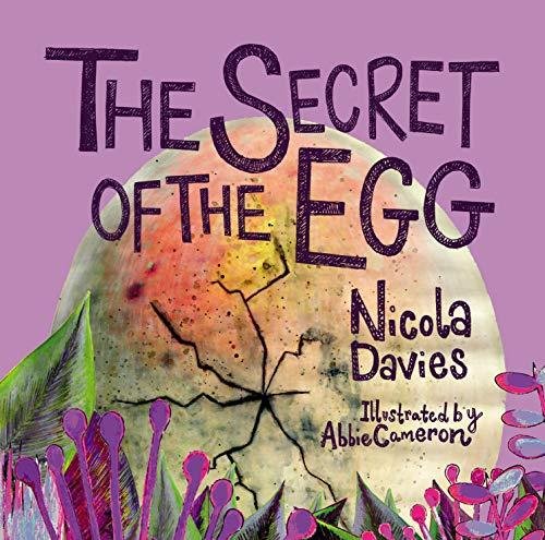 The Secret of the Egg Davies Nicola