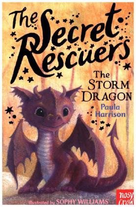 The Secret Rescuers: The Storm Dragon Harrison Paula