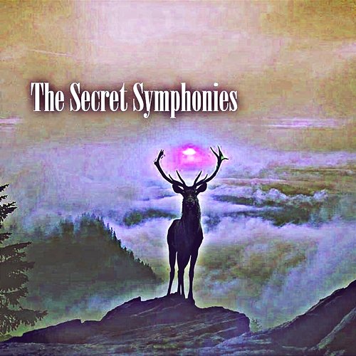 The Secret Symphonies Cory Adkins