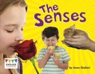 The Senses Anne Giulieri