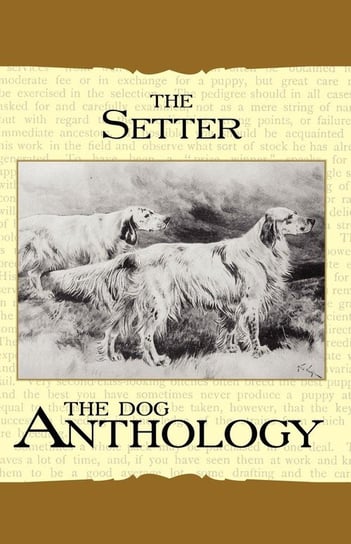 The Setter - A Dog Anthology (A Vintage Dog Books Breed Classic) Various