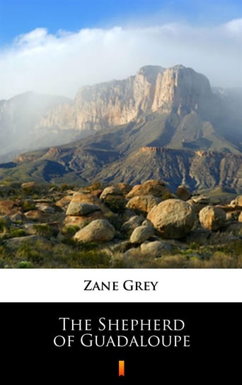 The Shepherd of Guadaloupe Grey Zane