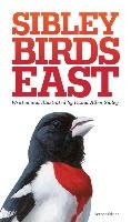 The Sibley Field Guide to Birds of Eastern North America Sibley David Allen