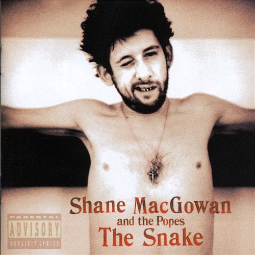 The Snake Shane MacGowan & The Popes