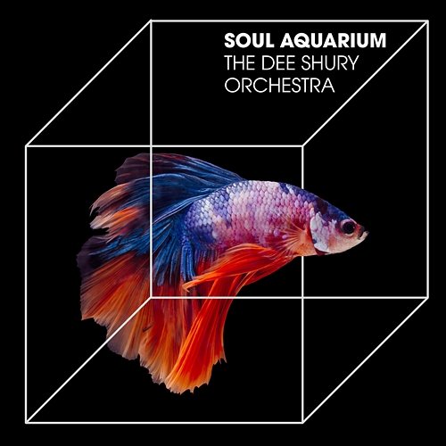 The Soul Aquarium The Dee Schury Orchestra