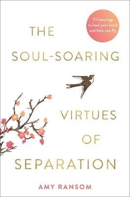 The Soul-Soaring Virtues of Separation: 111 Learnings to Heal Your Heart and Help You Fly Ransom Amy