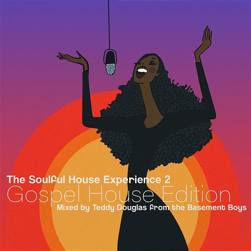 The Soulful House Experience 2 [Mixed by Teddy Douglas] Teddy Douglas