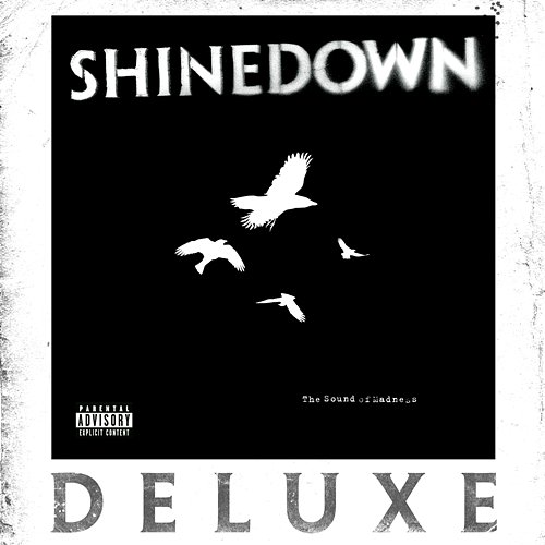 The Sound of Madness Shinedown