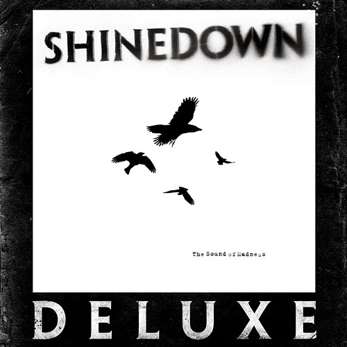 The Sound of Madness Shinedown