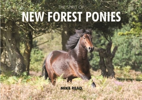 The Spirit of New Forest Ponies Read Mike