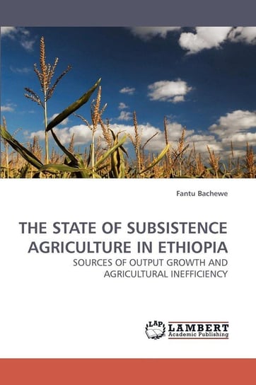 THE STATE OF SUBSISTENCE AGRICULTURE IN ETHIOPIA Bachewe Fantu