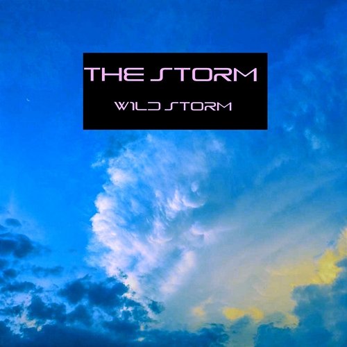The Storm W1ld St0rm