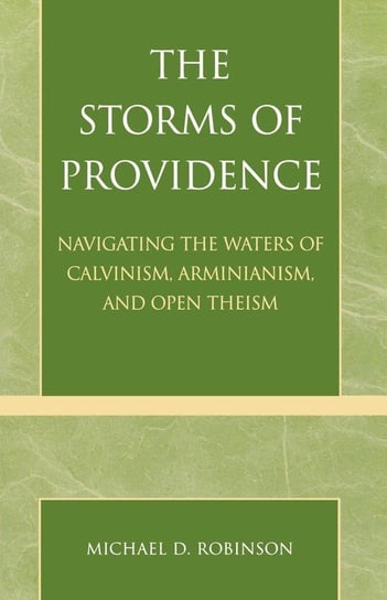 The Storms of Providence Robinson Michael D.