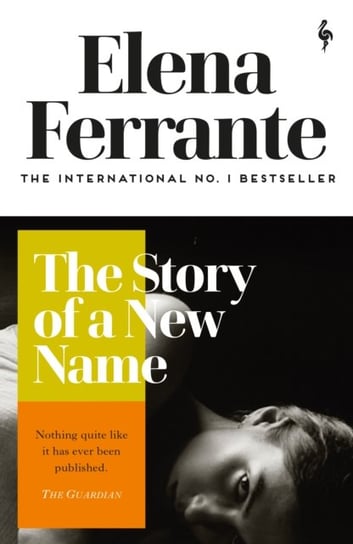 The Story of a New Name Ferrante Elena