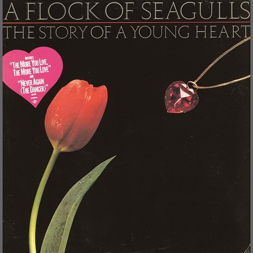 The Story Of A Young Heart A Flock Of Seagulls