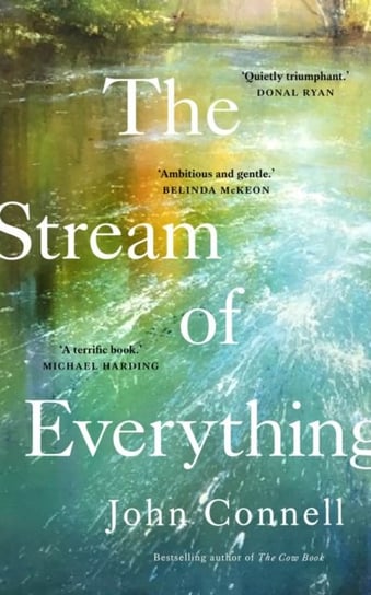 The Stream of Everything Connell John